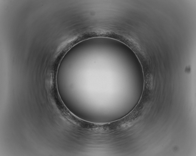 X0000091370740200708171545