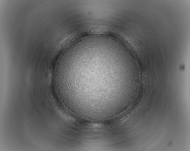 X0000091370741200708171545