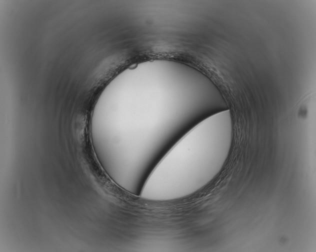 X0000091370742200708171545