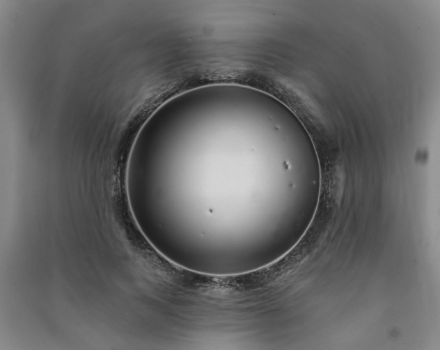 X0000091370743200708171545