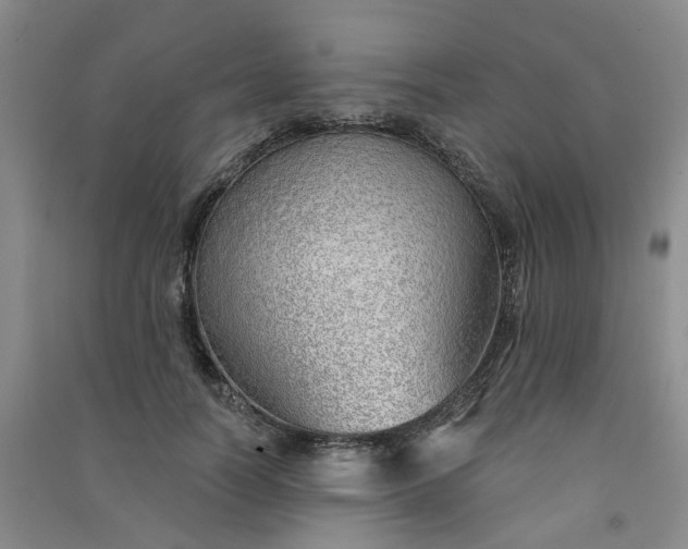 X0000091370746200708171545