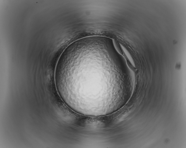 X0000091370747200708171545