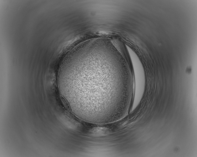 X0000091370748200708171545