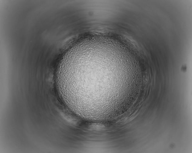 X0000091370749200708171545