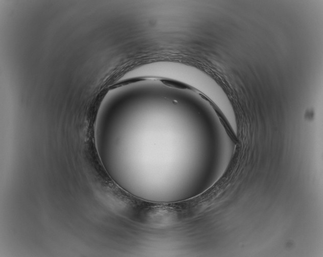 X0000091370750200708171545