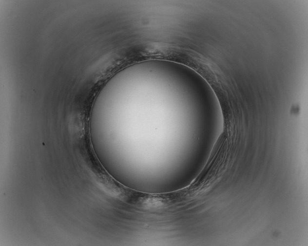 X0000091370751200708171545