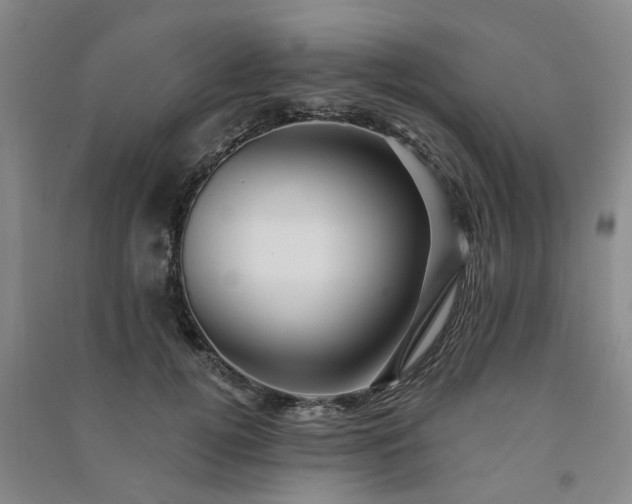 X0000091370752200708171545