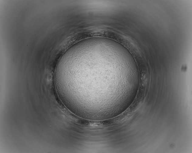 X0000091370753200708171545