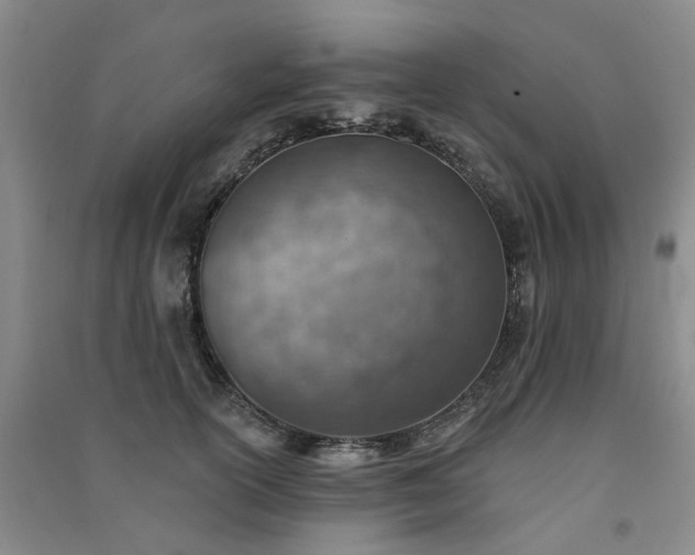 X0000091370754200708171545