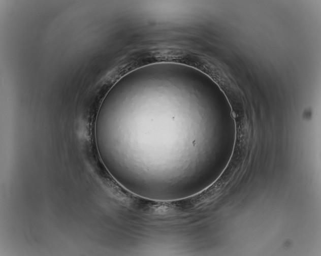 X0000091370755200708171545