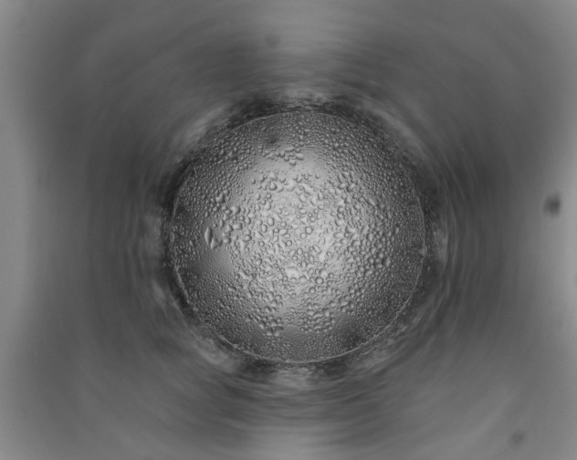 X0000091370757200708171545