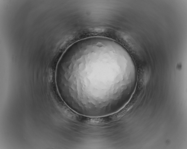 X0000091370758200708171545