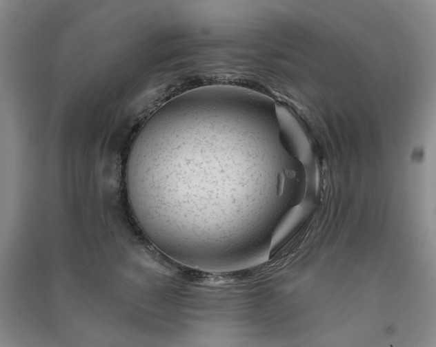 X0000091370760200708171545