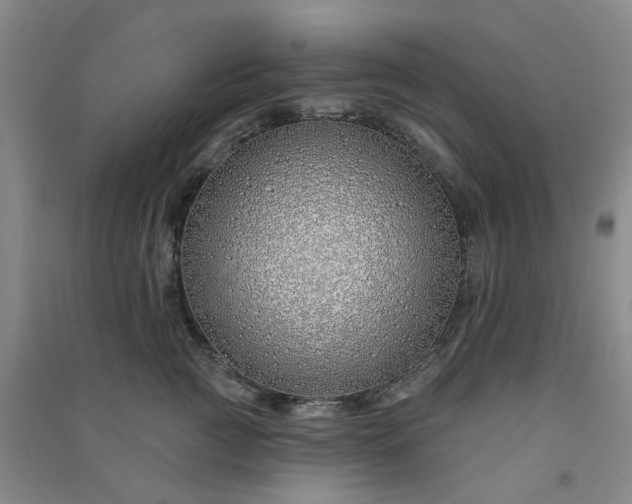 X0000091370761200708171545