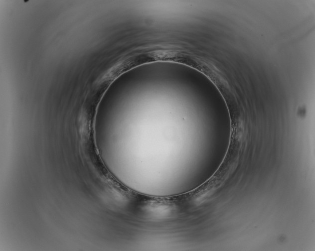 X0000091370763200708171545