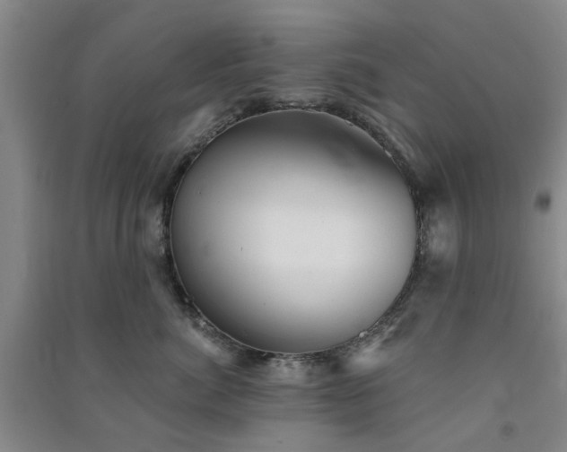 X0000091370764200708171545