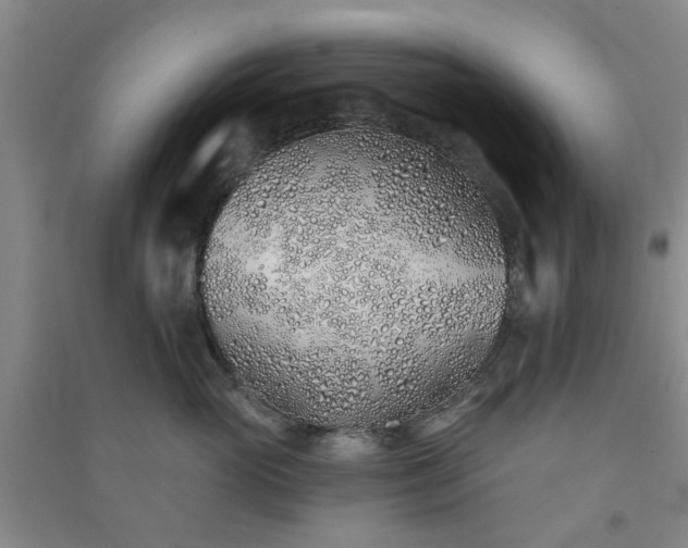 X0000091370765200708171545