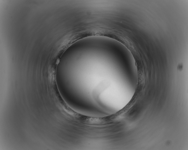 X0000091370766200708171545