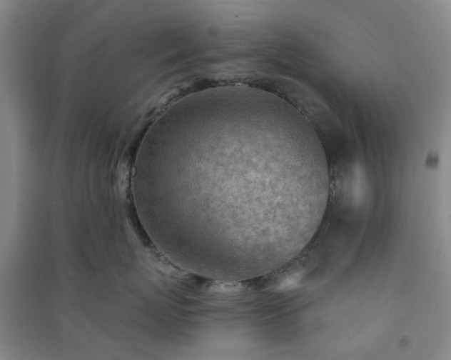 X0000091370767200708171545