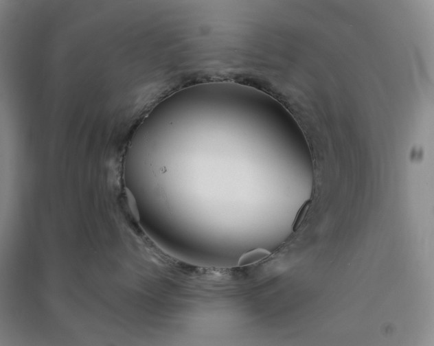 X0000091370768200708171545