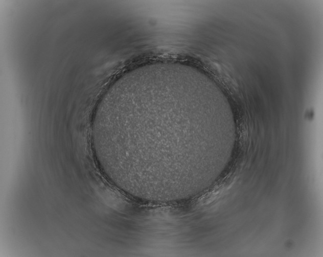 X0000091370769200708171544