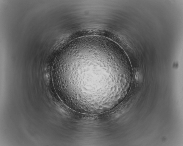 X0000091370771200708171544