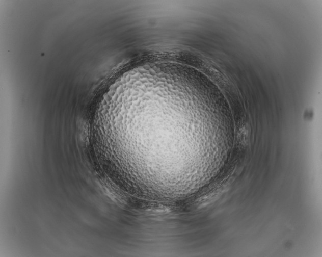 X0000091370772200708171544