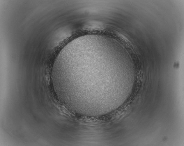 X0000091370774200708171544