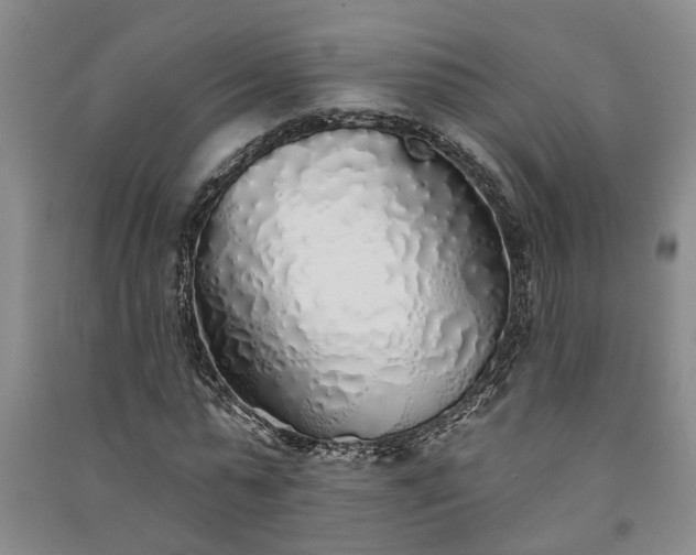 X0000091370775200708171544