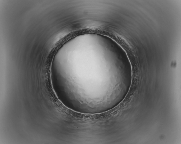 X0000091370776200708171544