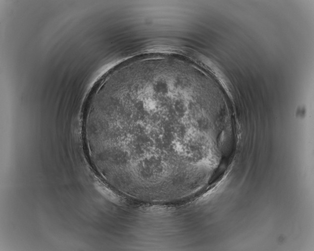 X0000091370779200708171544