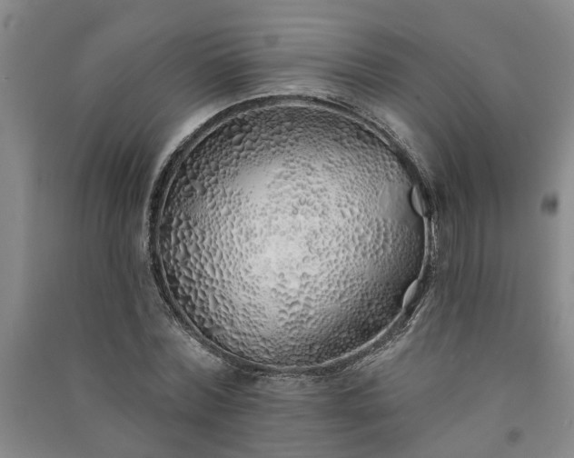 X0000091370780200708171544