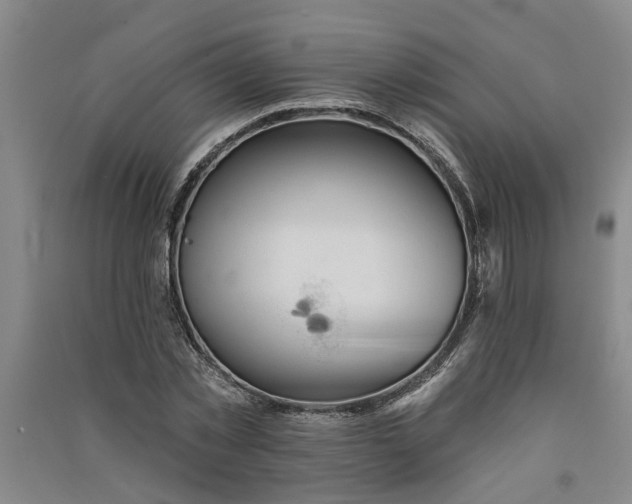 X0000091370781200708171544