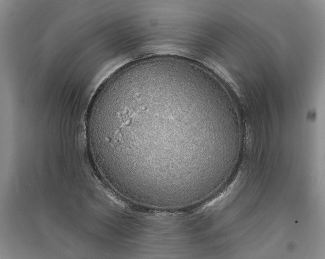 X0000091370782200708171544