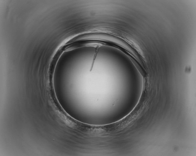 X0000091370784200708171544