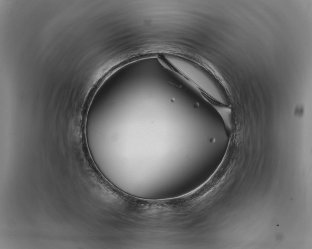 X0000091370786200708171544