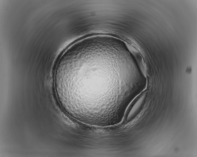 X0000091370787200708171544