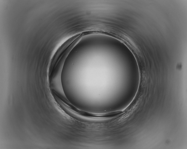 X0000091370788200708171544