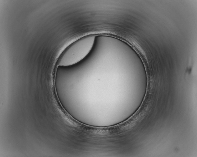 X0000091370789200708171544