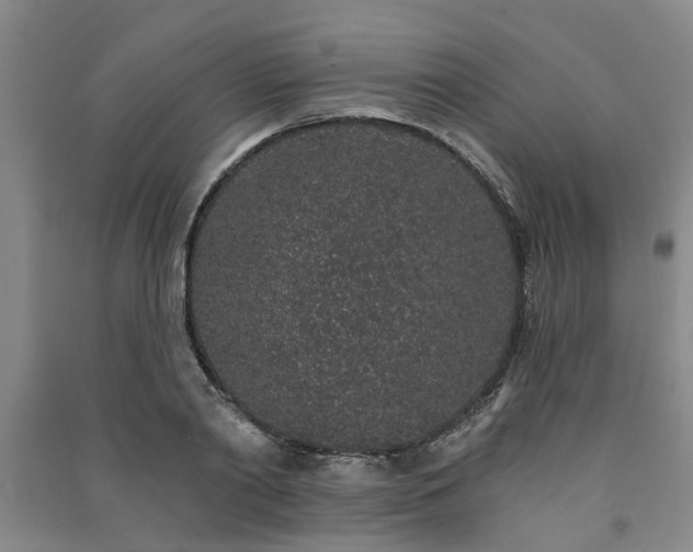 X0000091370790200708171544