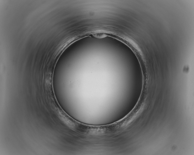 X0000091370793200708171544