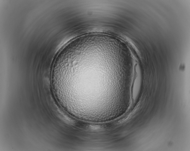 X0000091370794200708171544