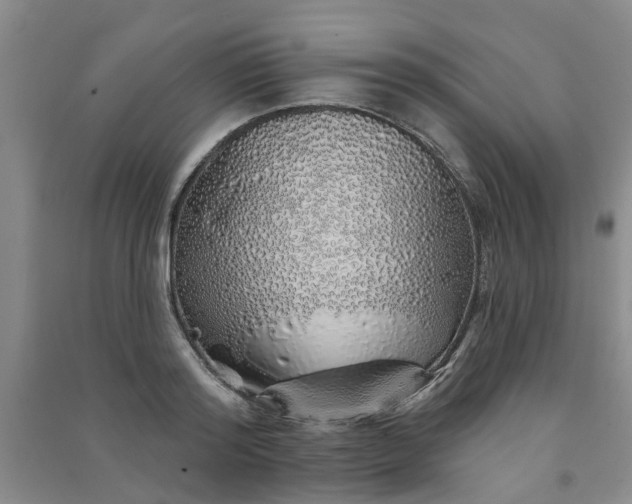 X0000091370796200708171544