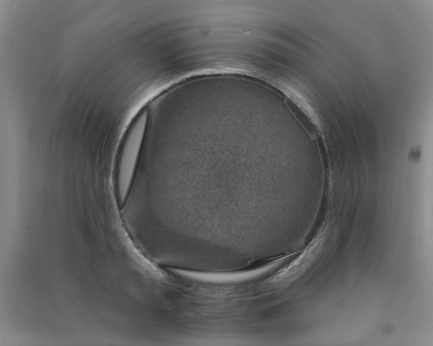 X0000091370797200708171544