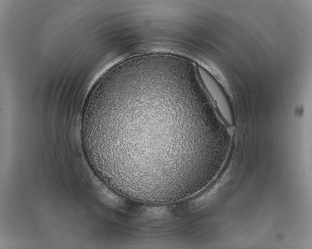 X0000091370798200708171544