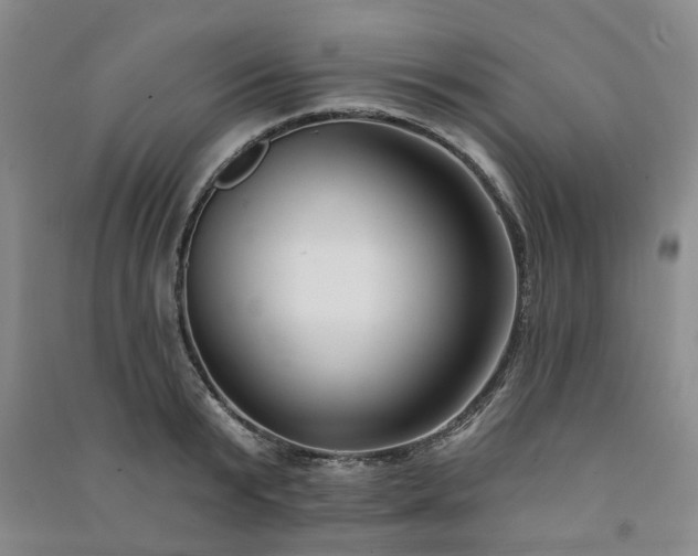 X0000091370799200708171544