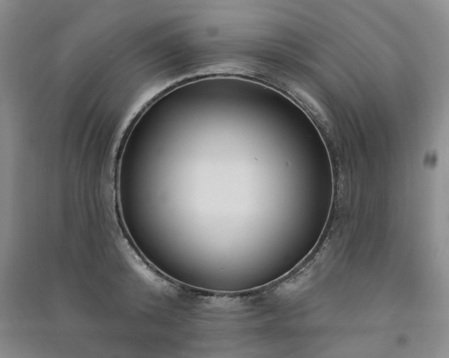 X0000091370800200708171544