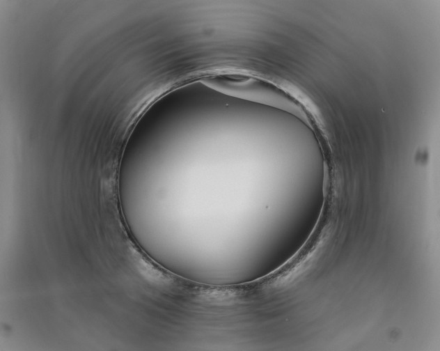 X0000091370801200708171544