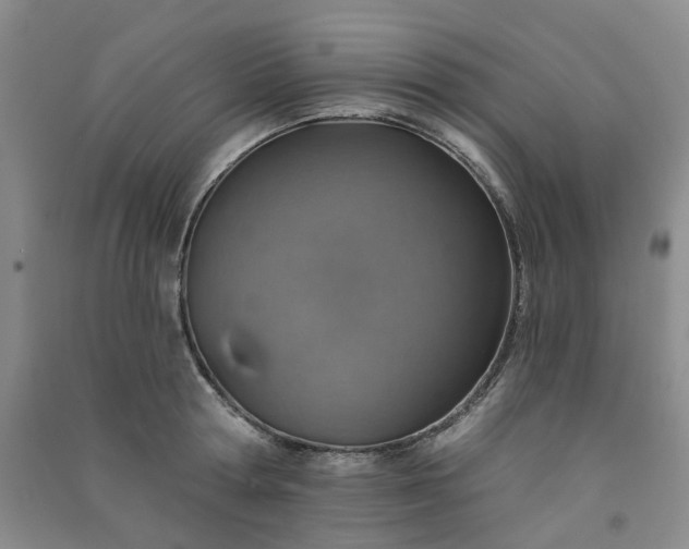 X0000091370802200708171544