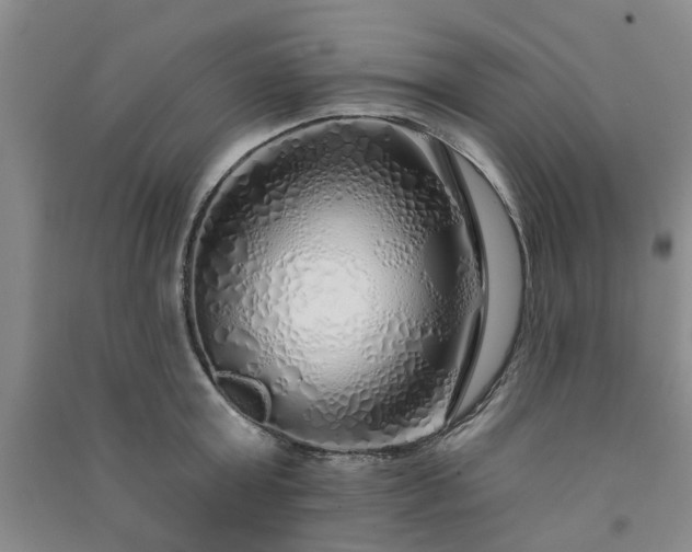 X0000091370803200708171544